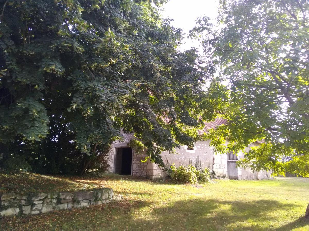 Luçay-le-Mâle La Berrycurienne Proche Du Zoo De Beauval Saint-Aignan Avec Sdb, Wc Et Spa Privatif Pour Chaque Chambre מראה חיצוני תמונה