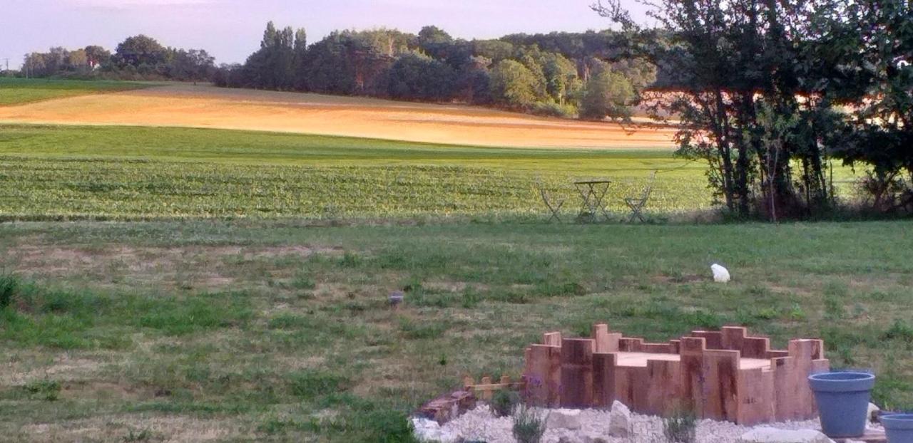 Luçay-le-Mâle La Berrycurienne Proche Du Zoo De Beauval Saint-Aignan Avec Sdb, Wc Et Spa Privatif Pour Chaque Chambre מראה חיצוני תמונה