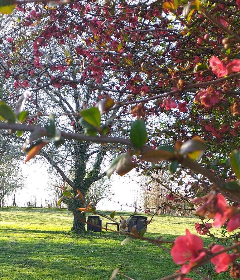 Luçay-le-Mâle La Berrycurienne Proche Du Zoo De Beauval Saint-Aignan Avec Sdb, Wc Et Spa Privatif Pour Chaque Chambre מראה חיצוני תמונה